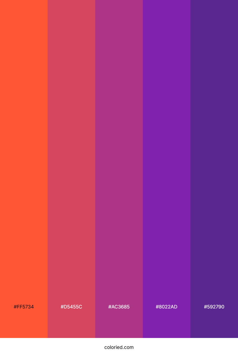 Vivid Sunset Color Palette