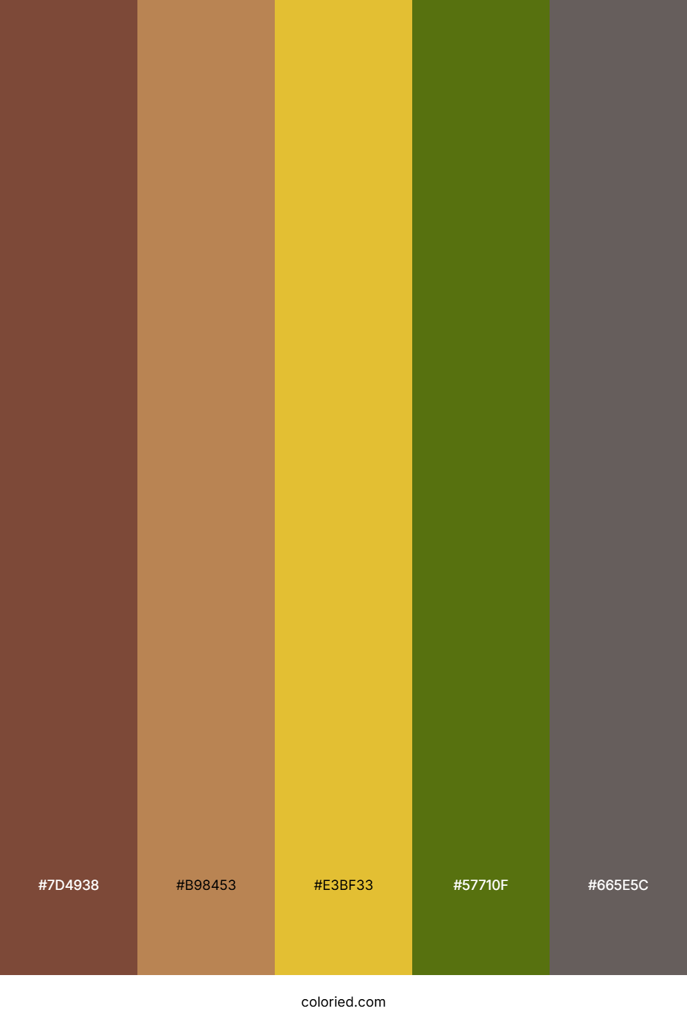Walnut Amber Meadow Color Palette