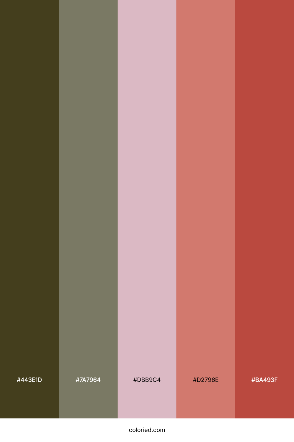 Walnut Blush Meadow Palette