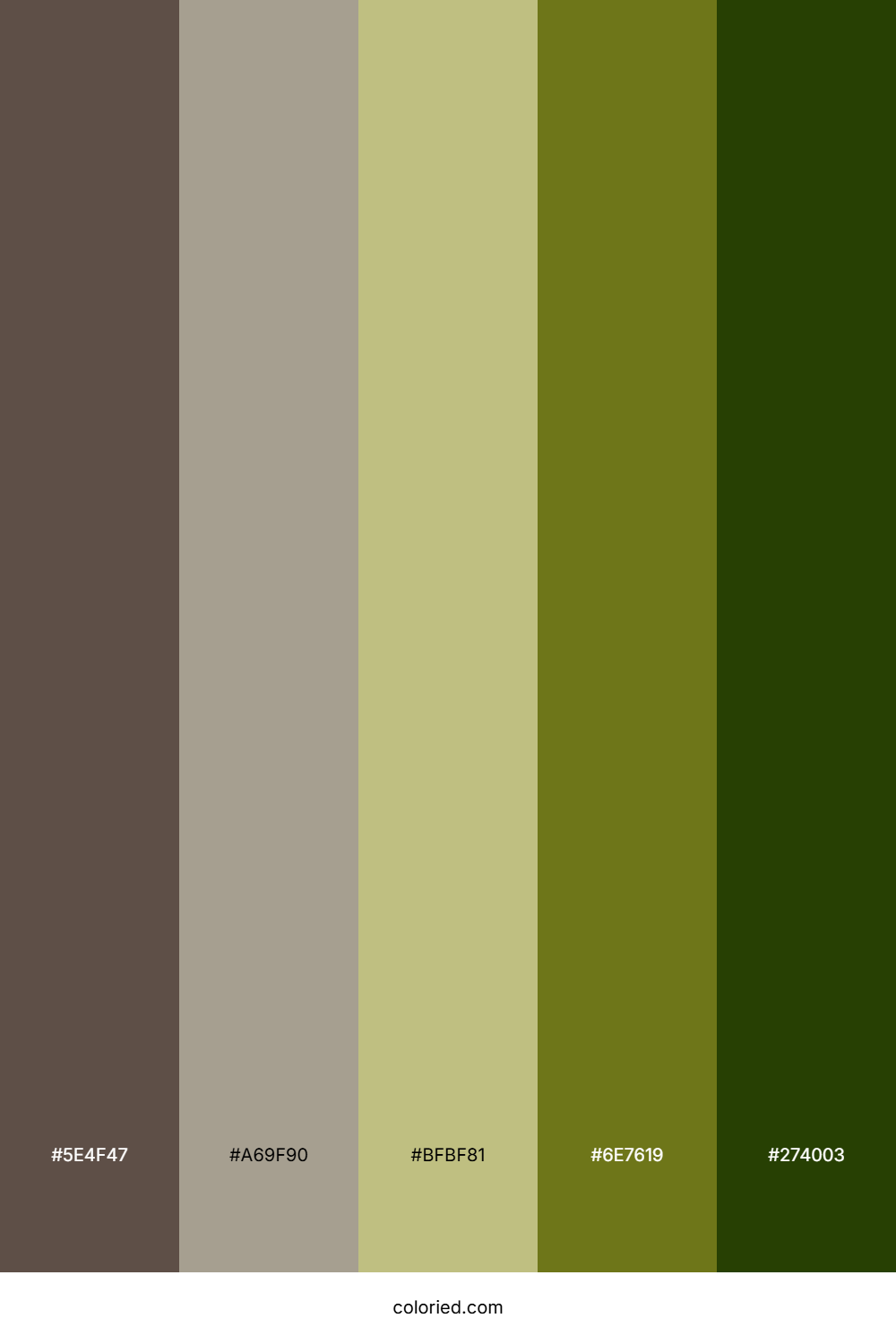 Walnut Sage Field Palette