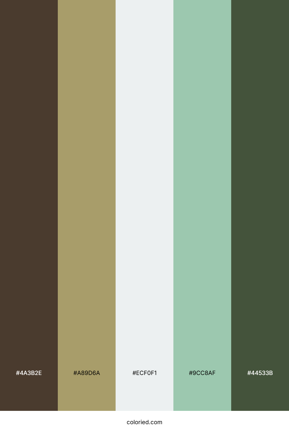 Walnut Sage Mist Color Palette