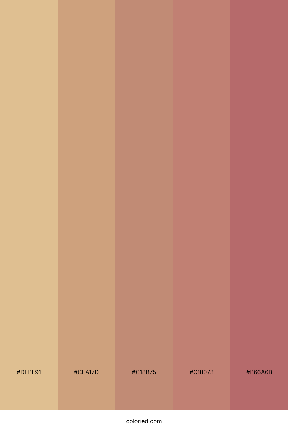 Warm Almond Beige Palette