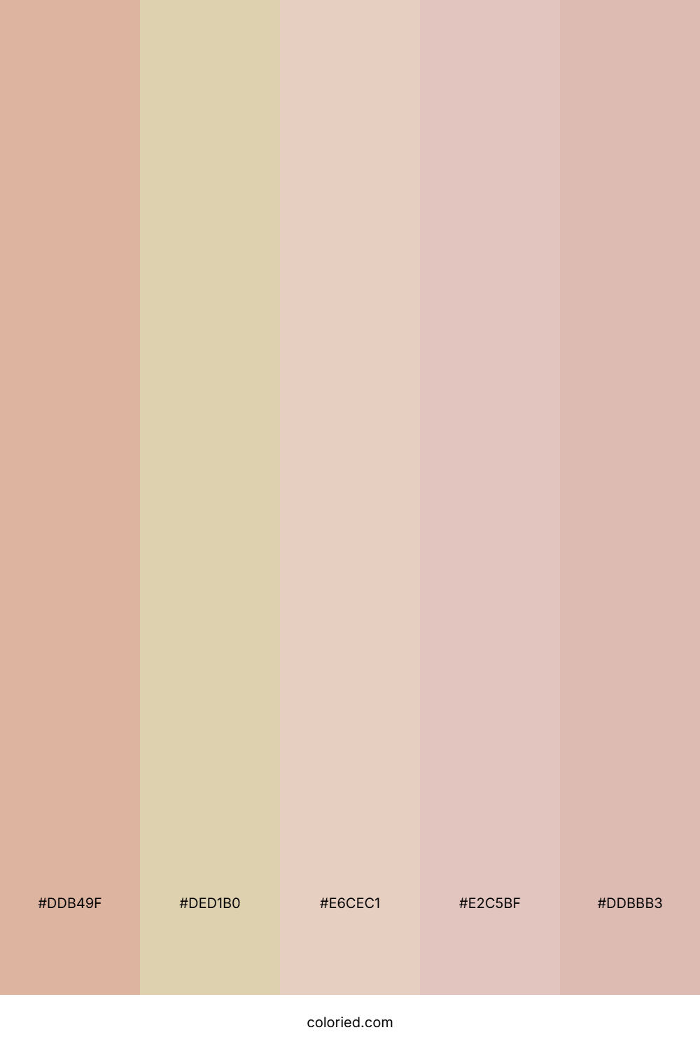 Warm Beige and Pale Nude Color Palette