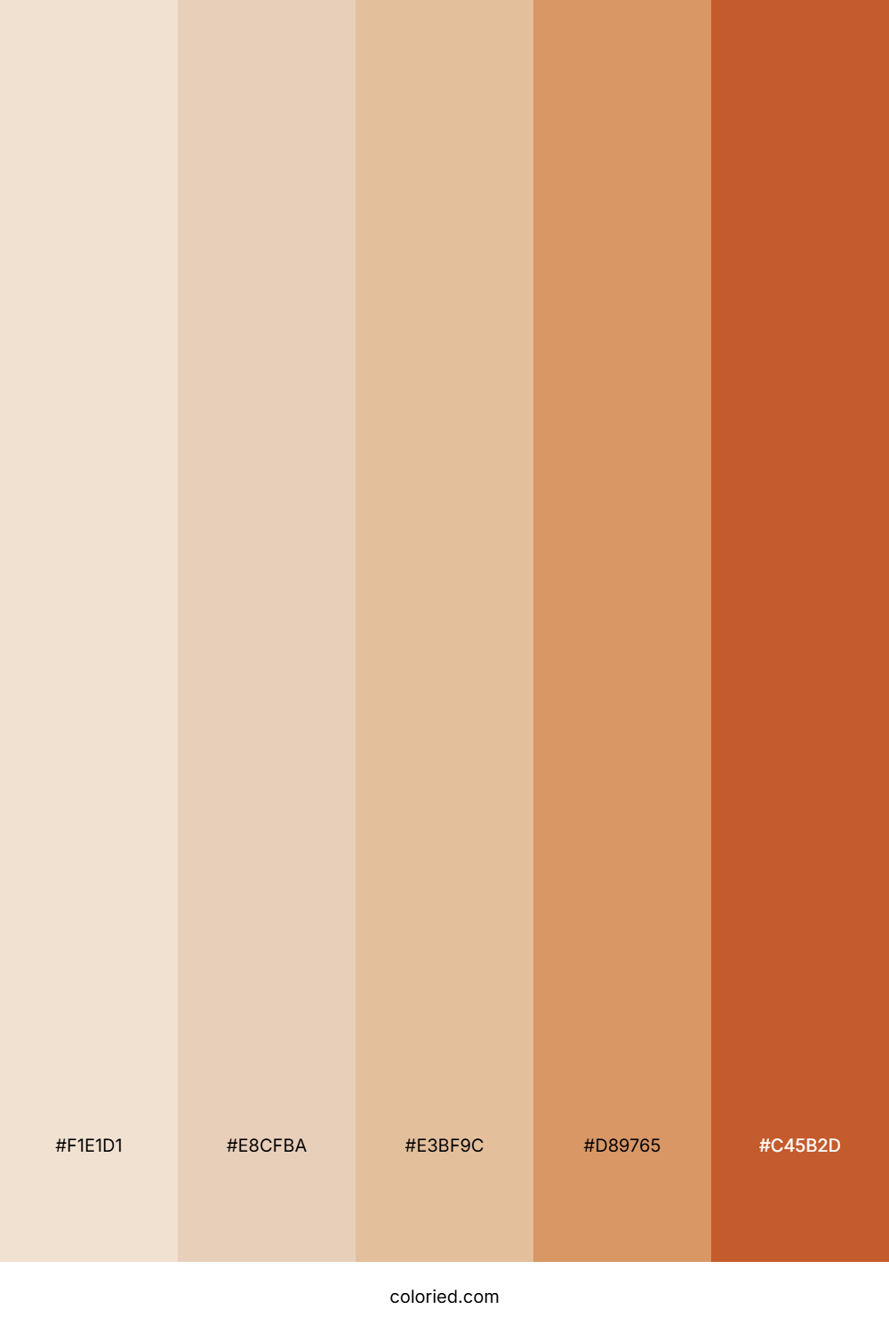 Warm Beige and Terracotta Color Palette
