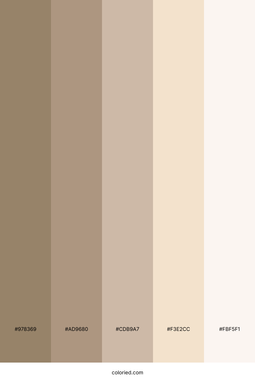 Warm Brown and Beige Color Palette