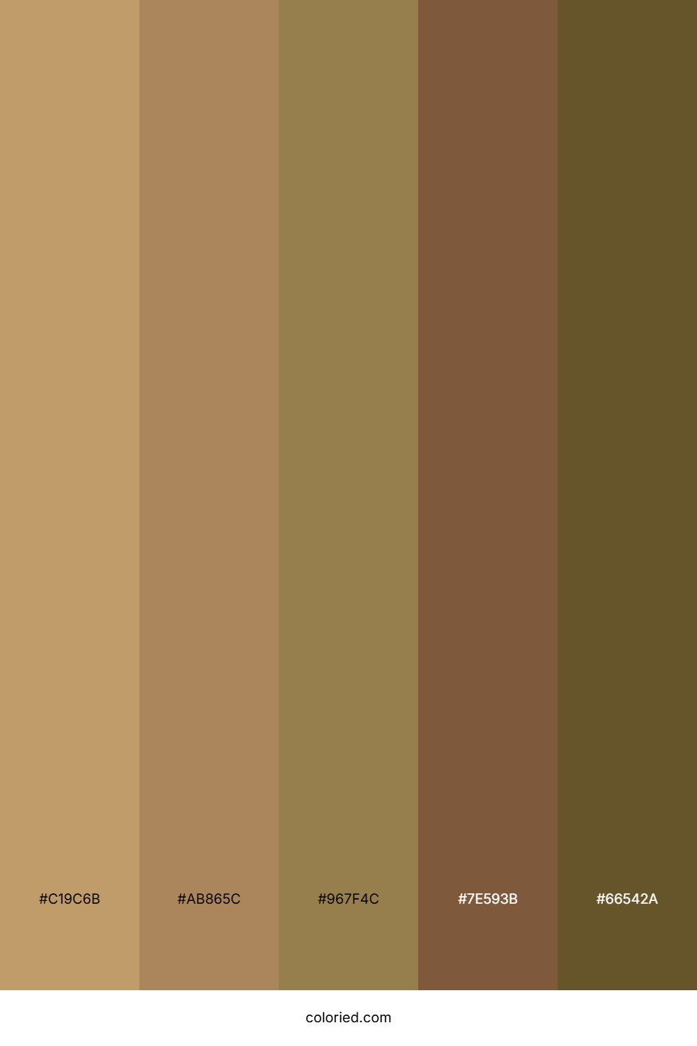 Warm Brown and Golden Tan Color Palette