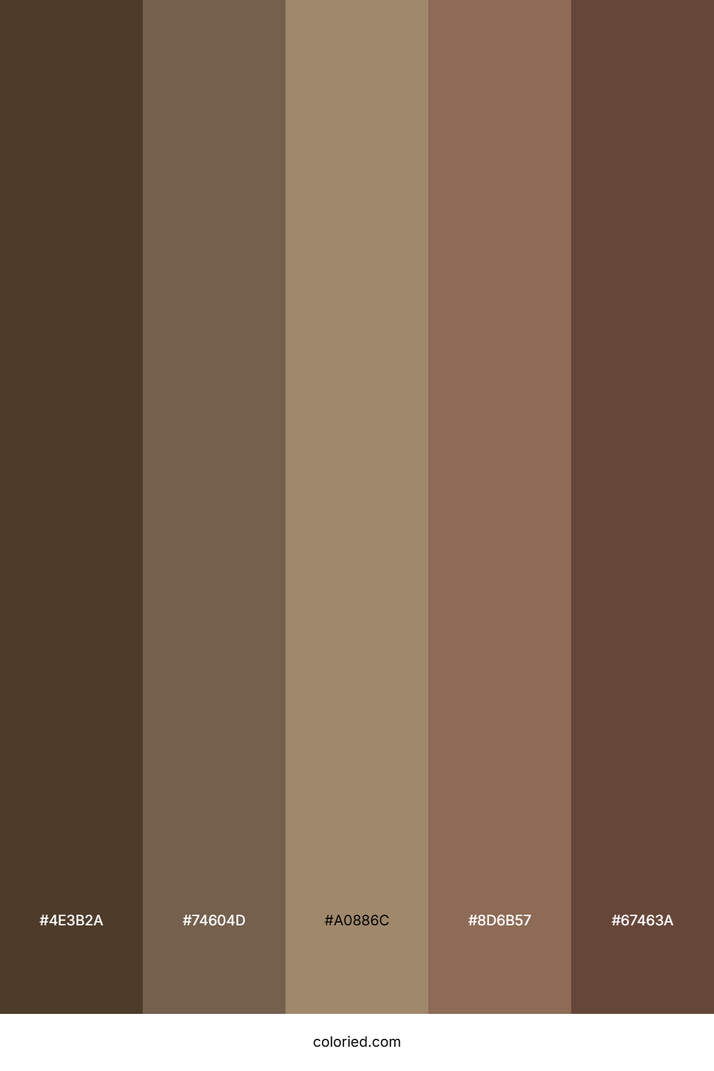 Warm Brown And Taupe Color Palette