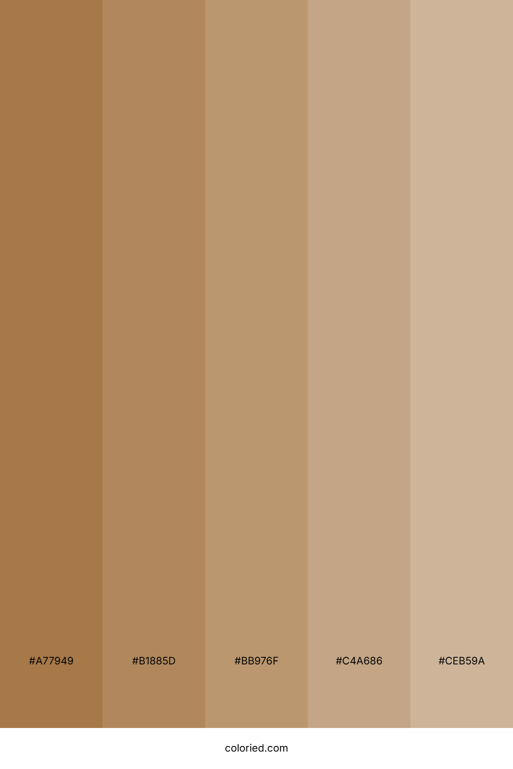 Warm Caramel Beige Palette