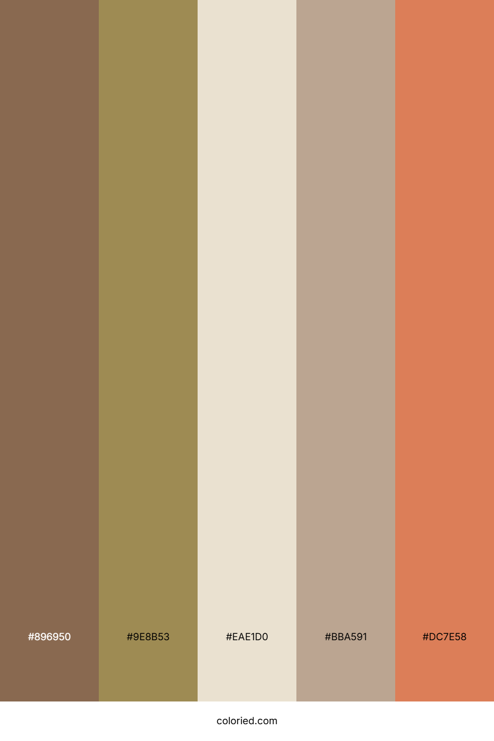 Warm Clay Hearth Color Palette