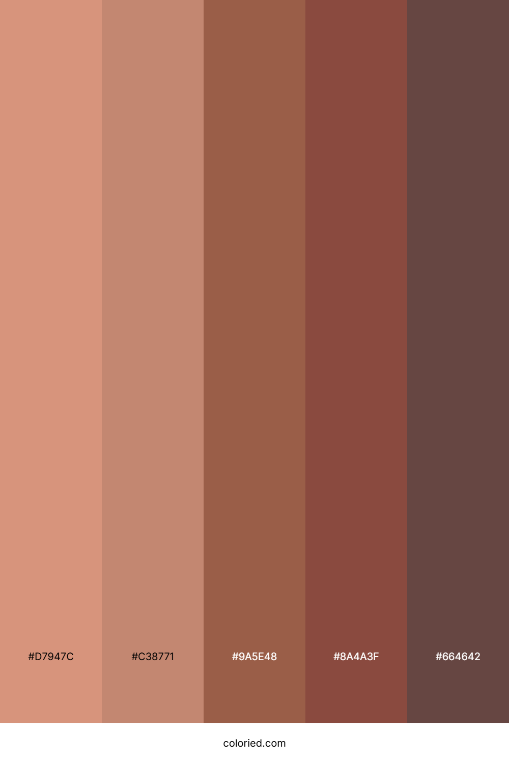 Warm Cocoa Brown Palette