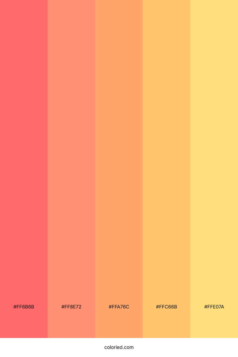 Warm Color Palette