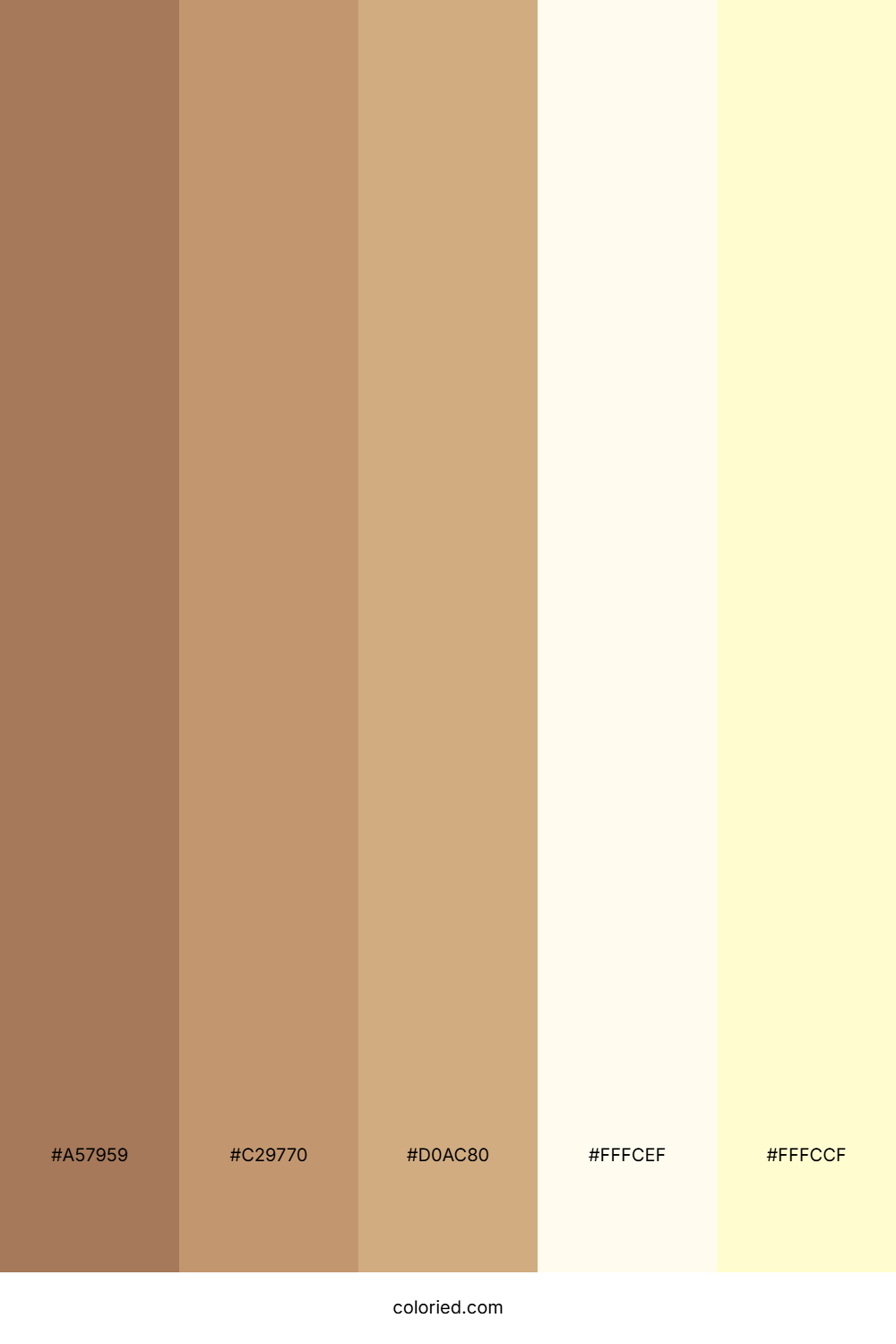 Warm Cream And Sand Color Palette