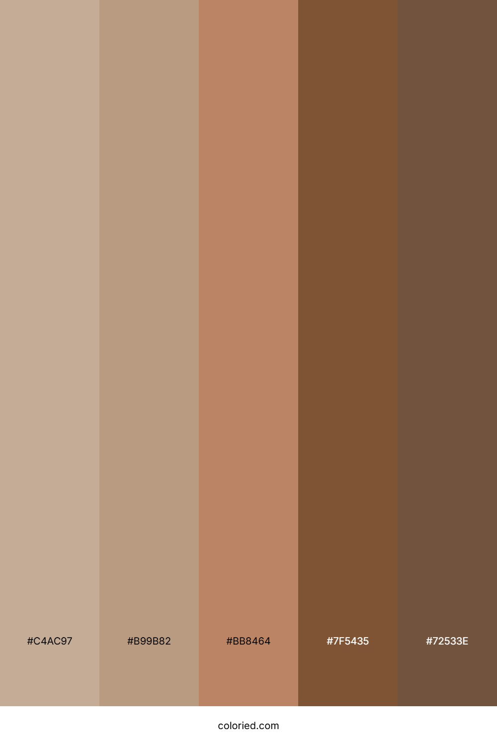 Warm Desert Clay Color Palette