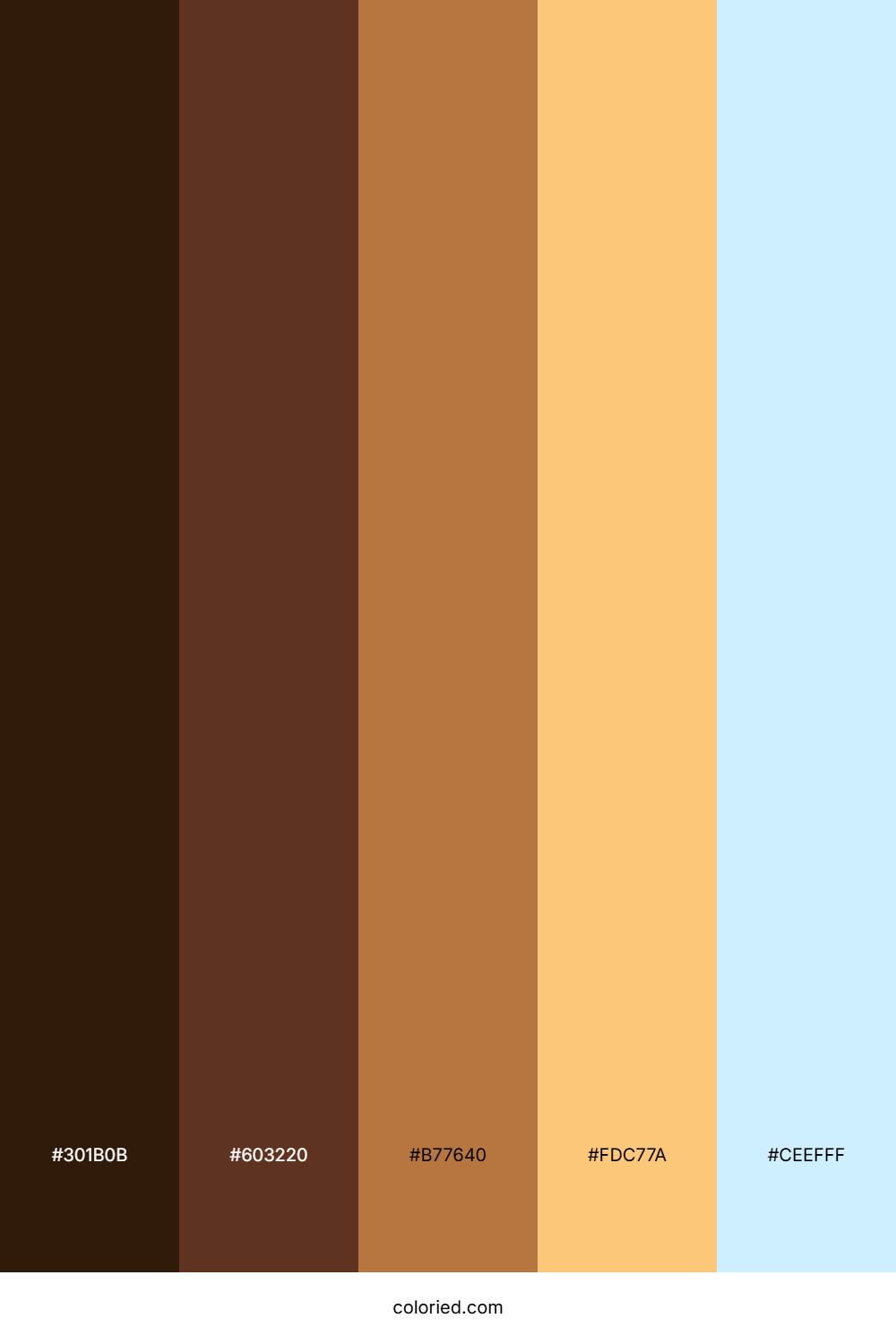 Warm Hearth Radiance Palette