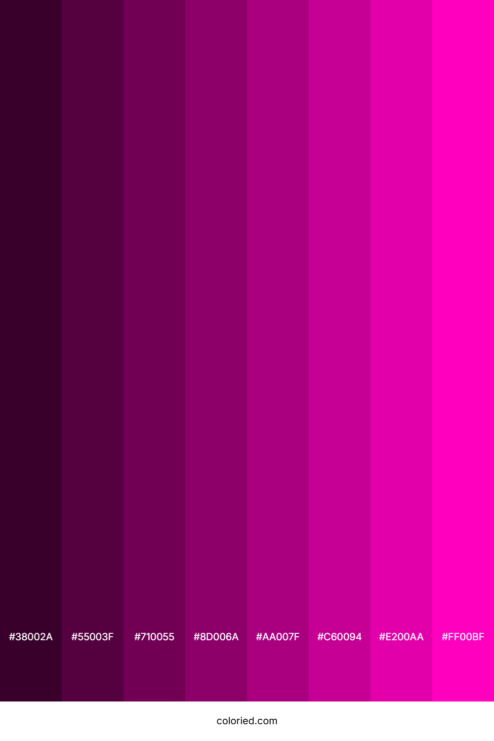Warm Magenta Color Shades