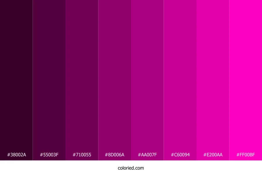 Warm Magenta Color Shades
