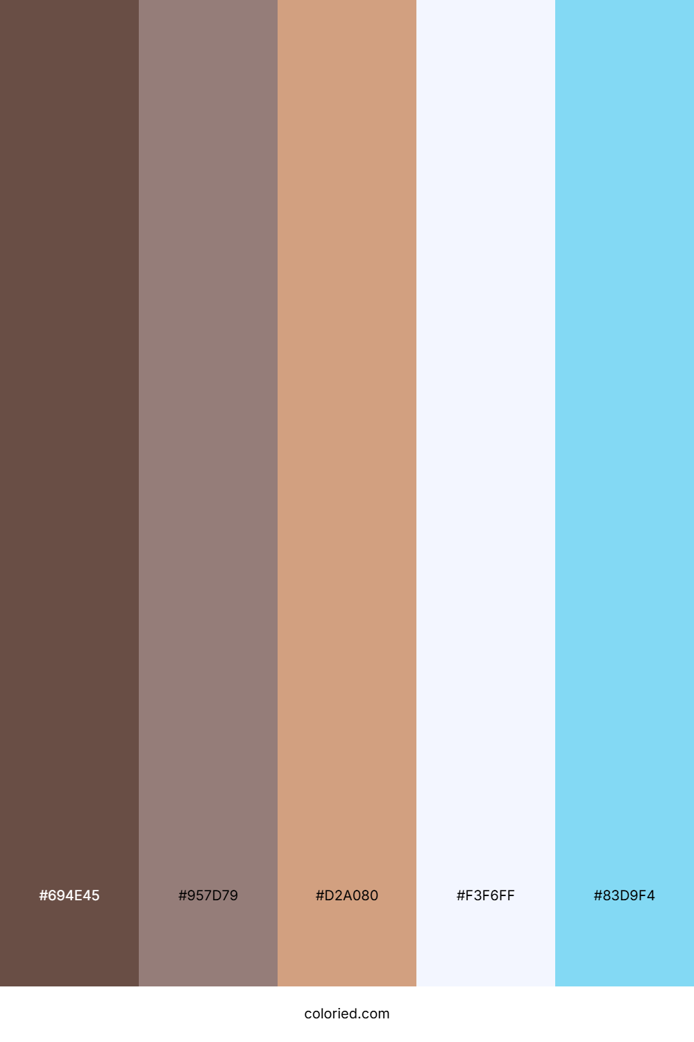 Warm Mocha Ice Color Palette