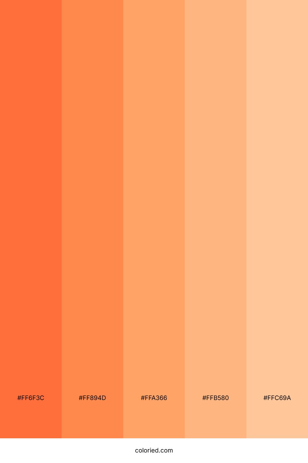 Warm Orange Color Palette
