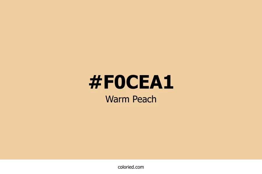 Warm Peach Color