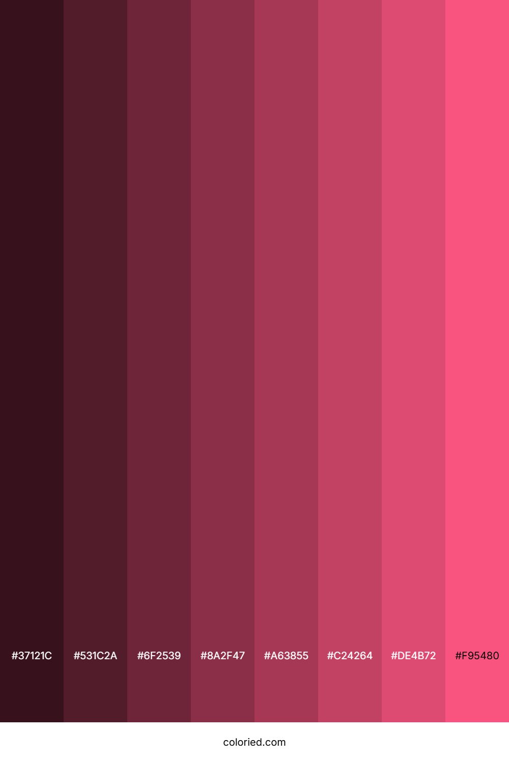 Warm Pink Color Shades