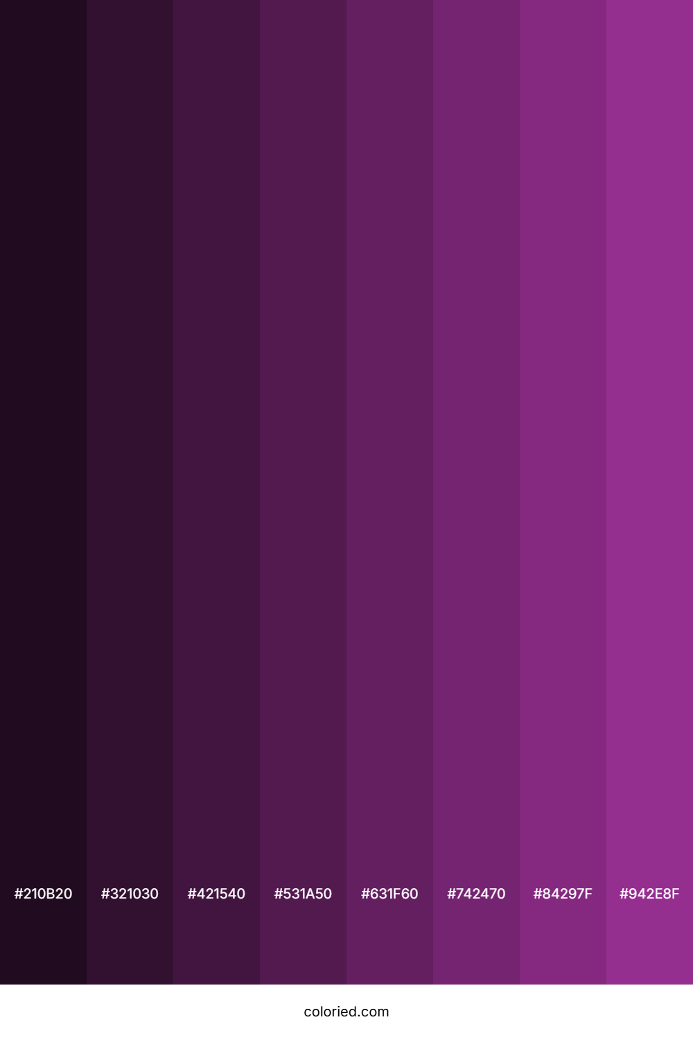 Warm Purple Color Shades