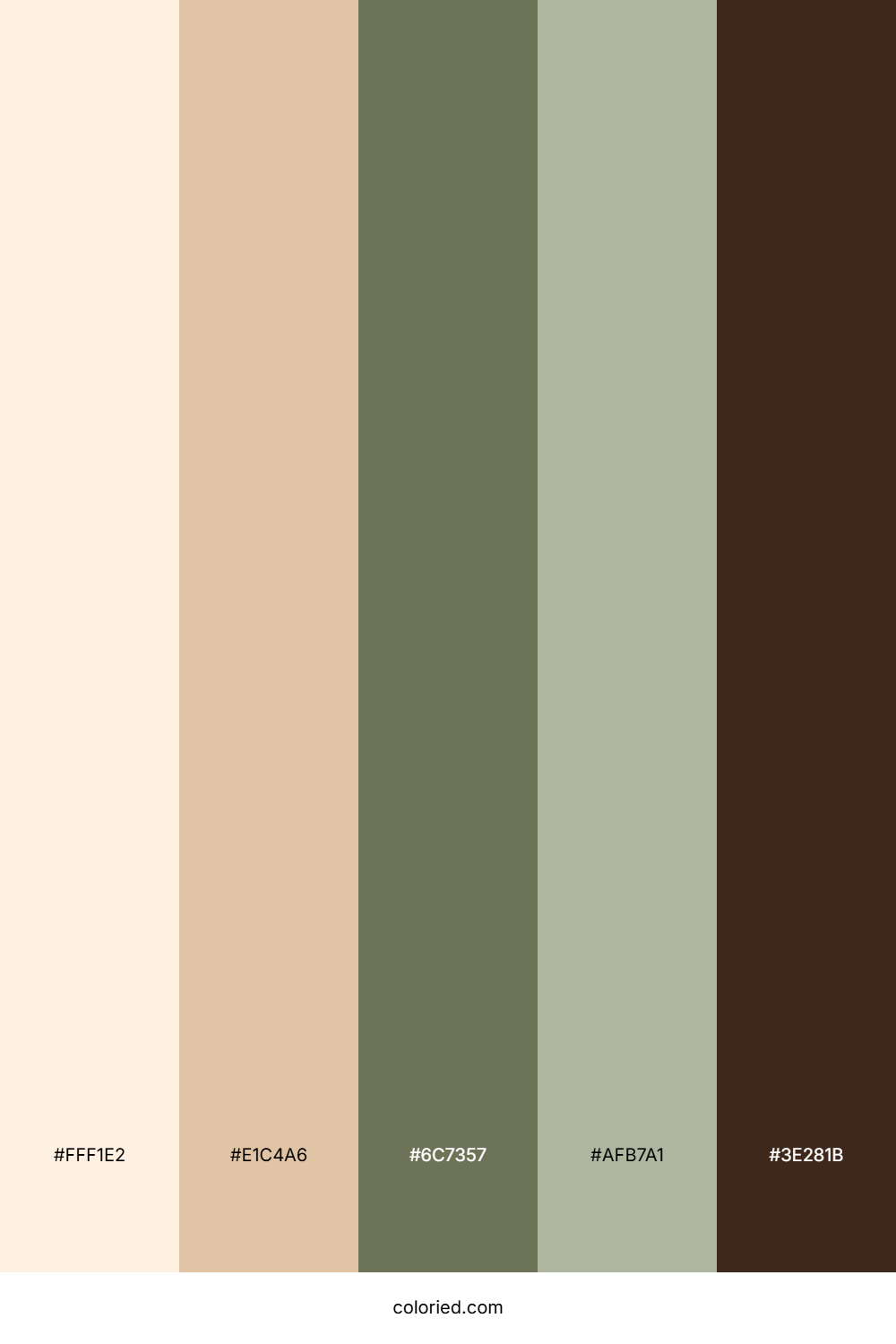 Warm Sage Hearth Color Palette