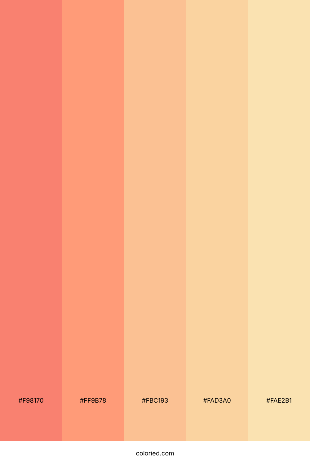 Warm Salmon and Peach Color Palette