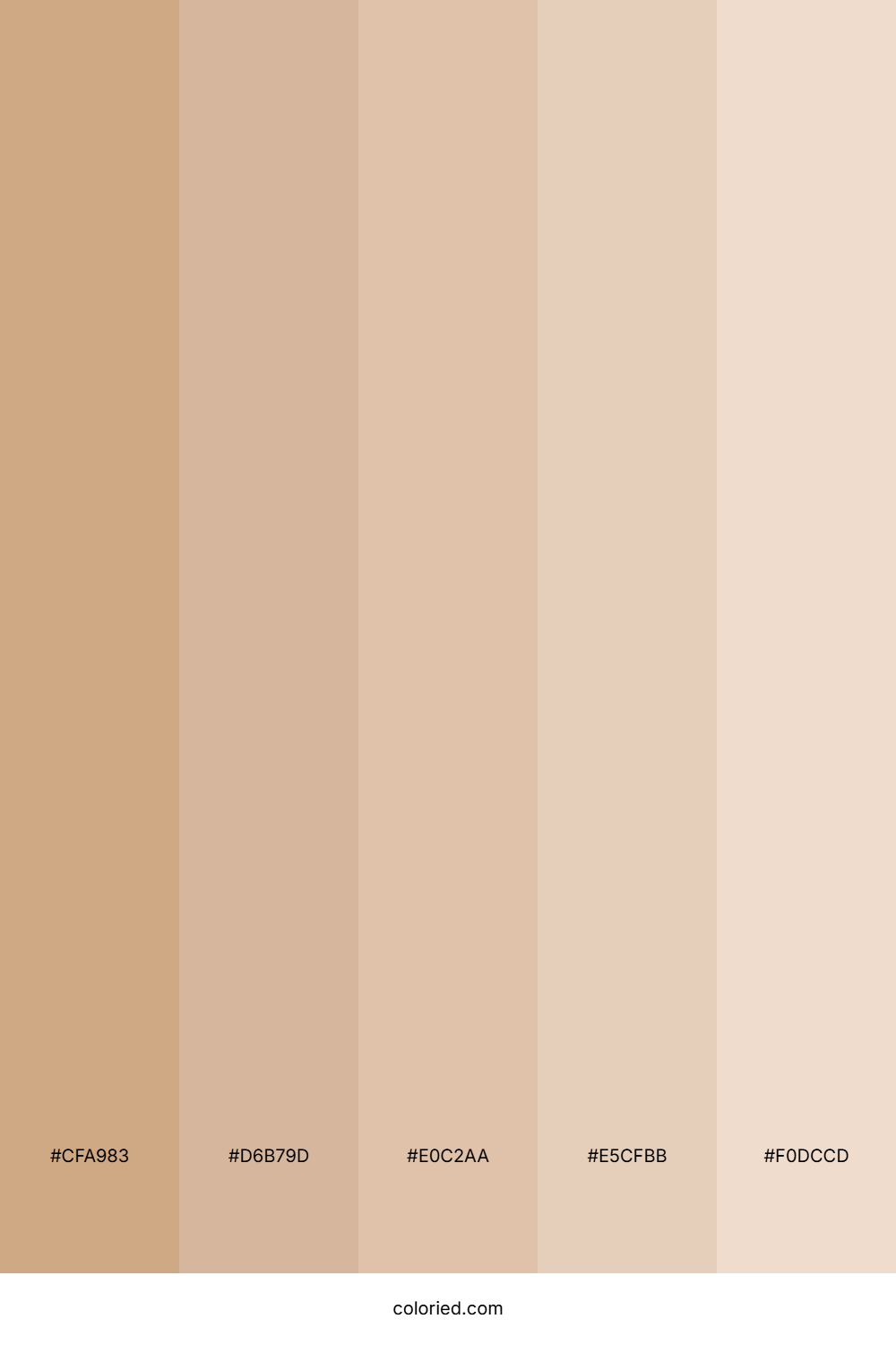 Warm Sand and Almond Color Palette