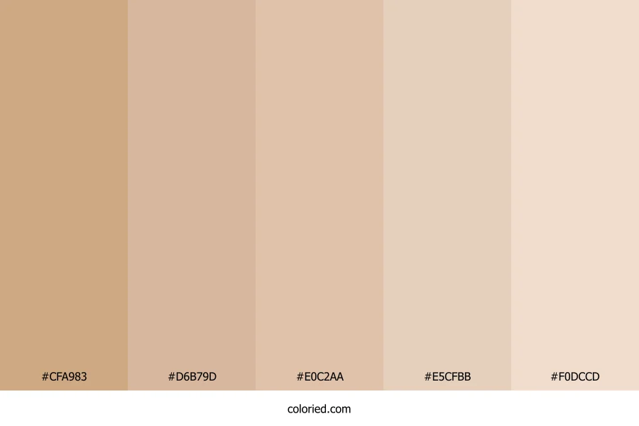 Warm Sand and Almond Color Palette