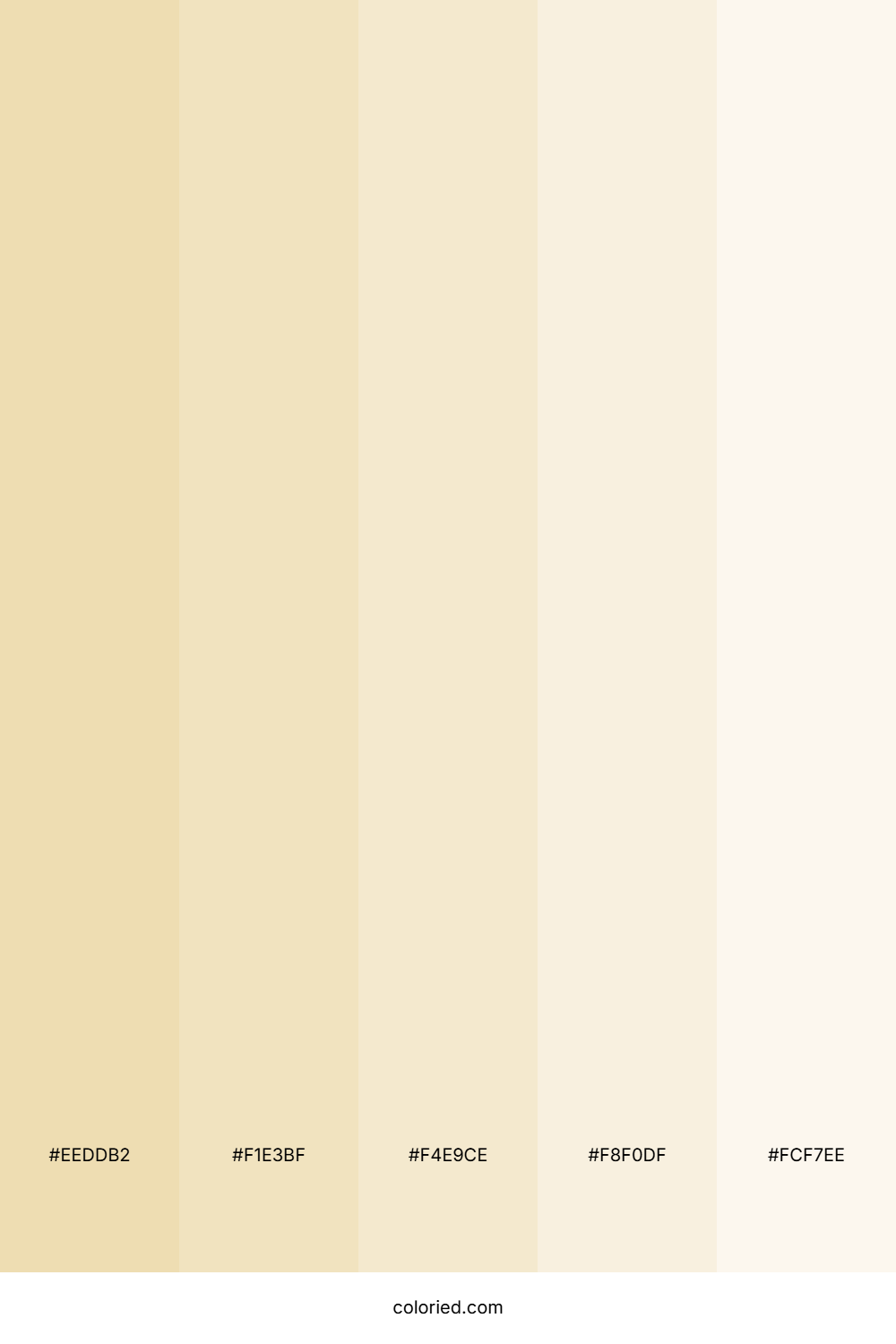 Warm Sand and Cream Color Palette