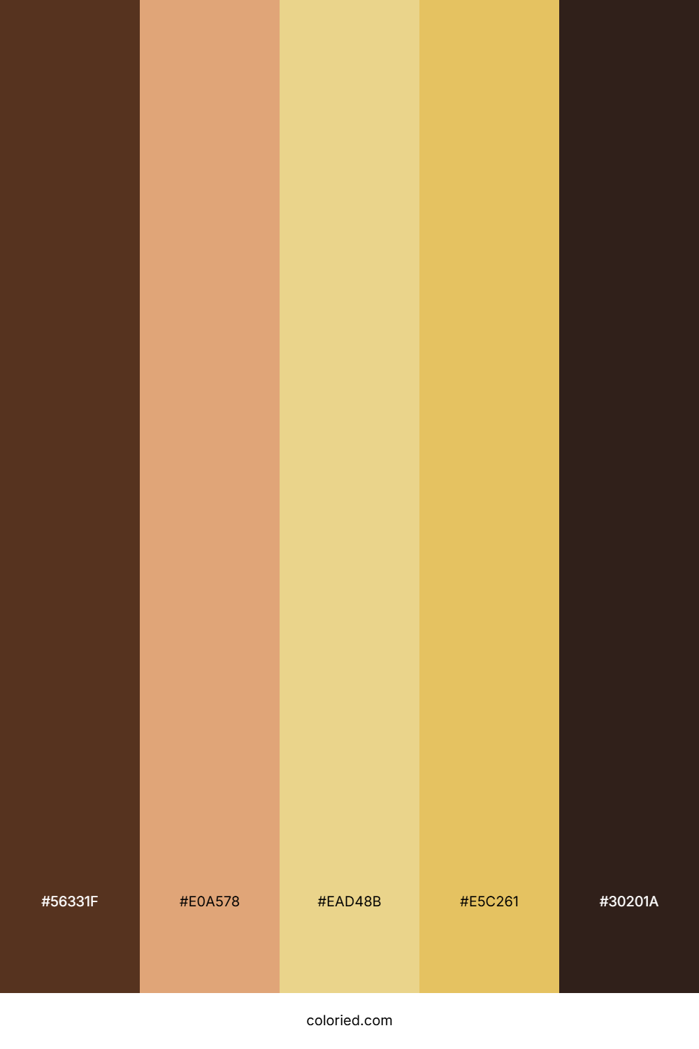 Warm Sand Dune Color Palette