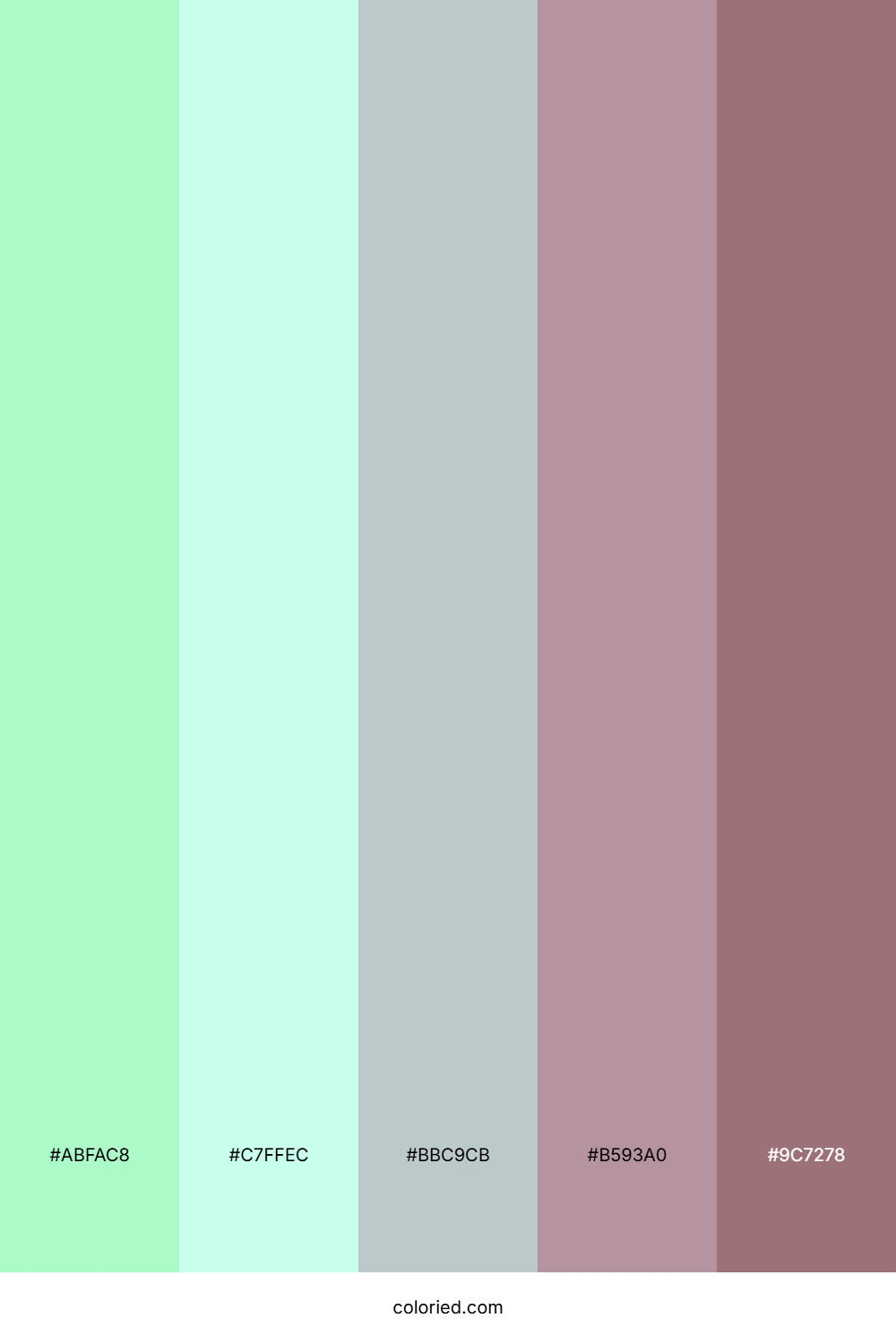 Warm Sandstone Path Color Palette