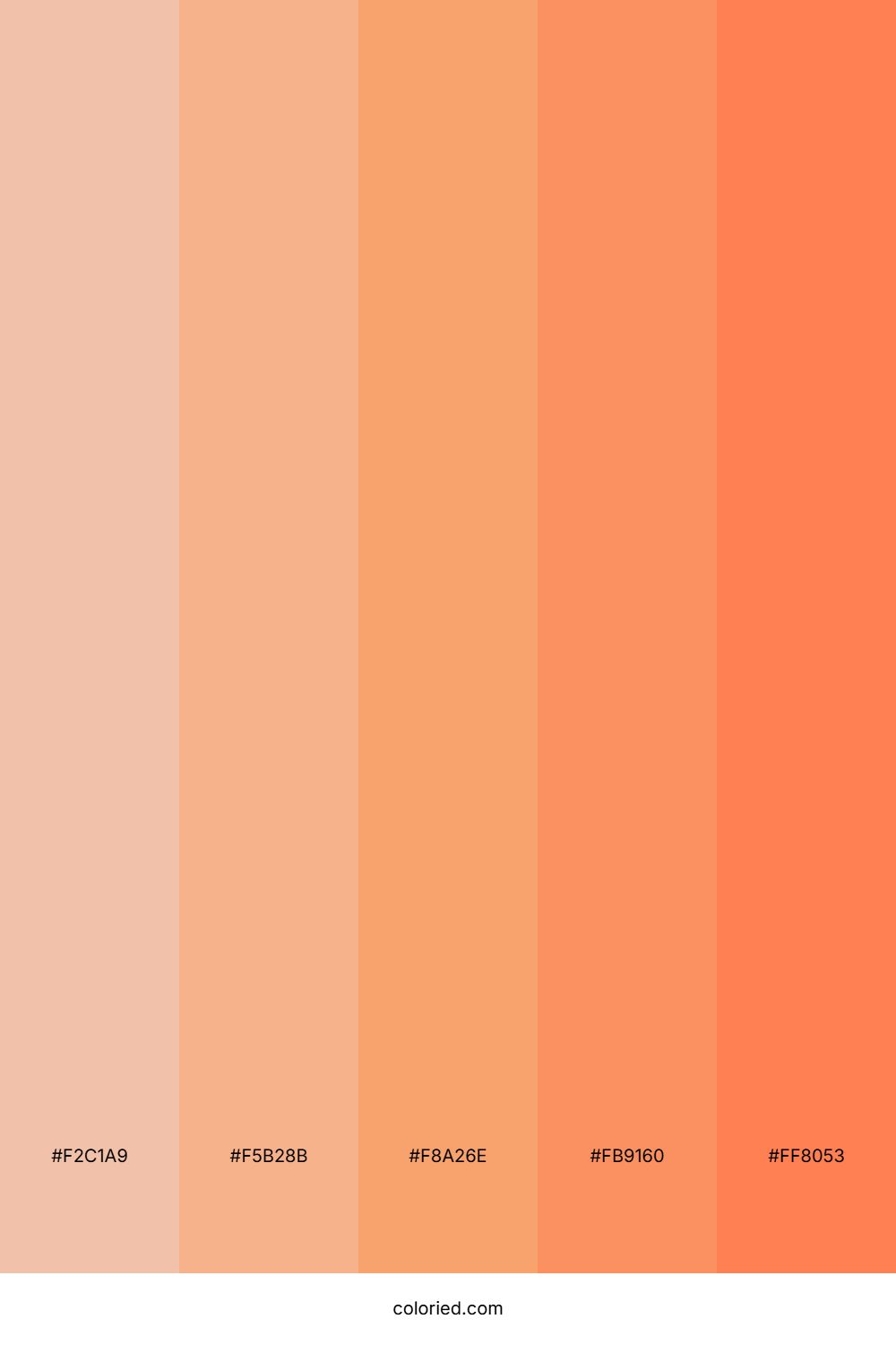 Warm Skin tone Color Palette