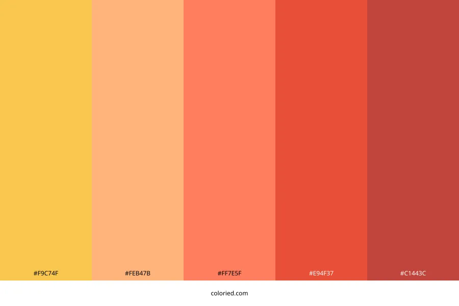Warm Sunset Color Palette