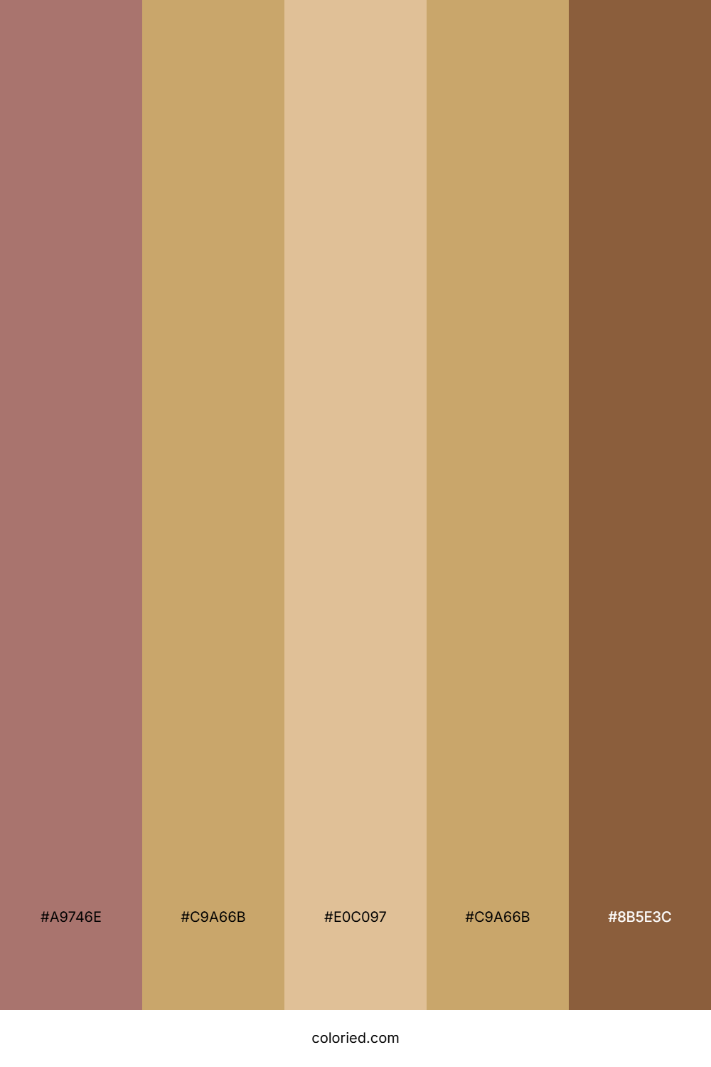 Warm Tan and Brown Color Palette