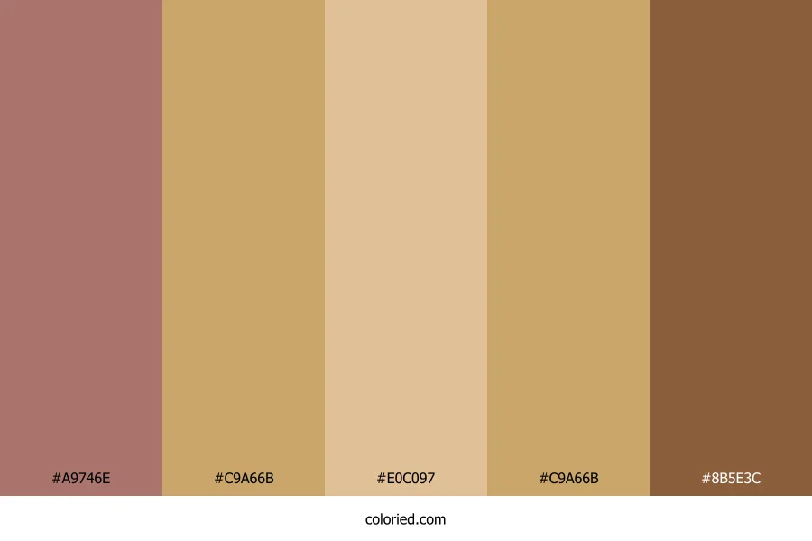 Warm Tan and Brown Color Palette