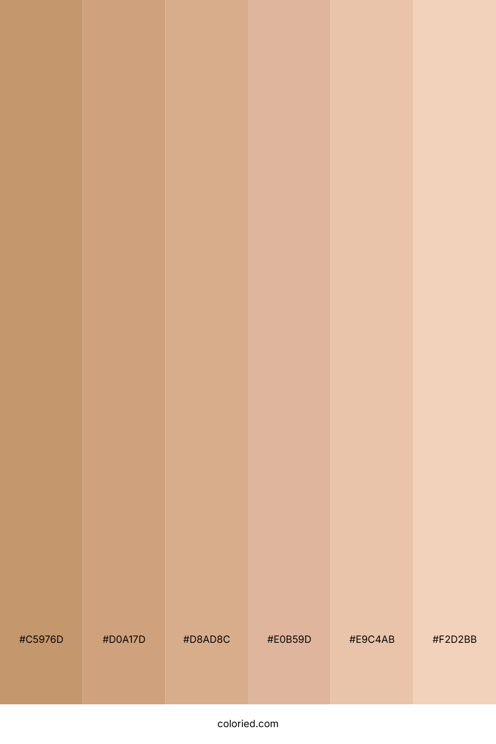 Warm Tan and Soft Brown Color Palette