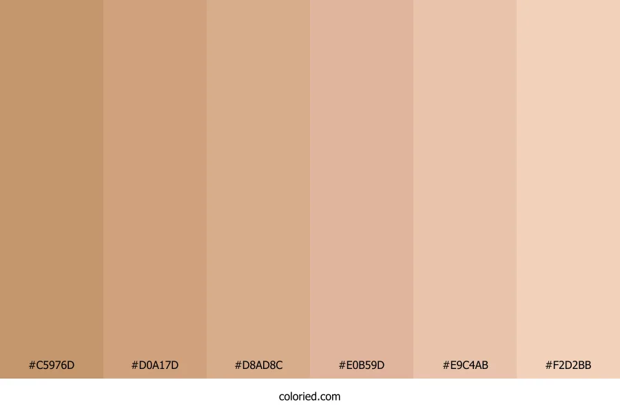 Warm Tan and Soft Brown Color Palette