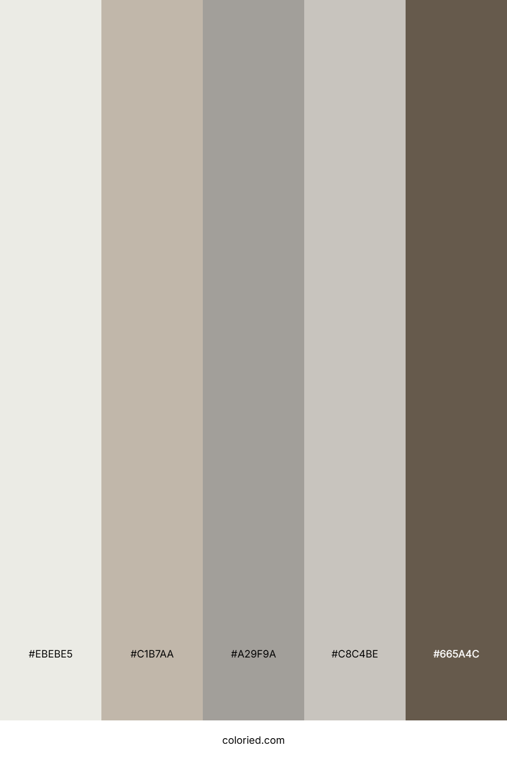 Warm Taupe and Coffee Color Palette