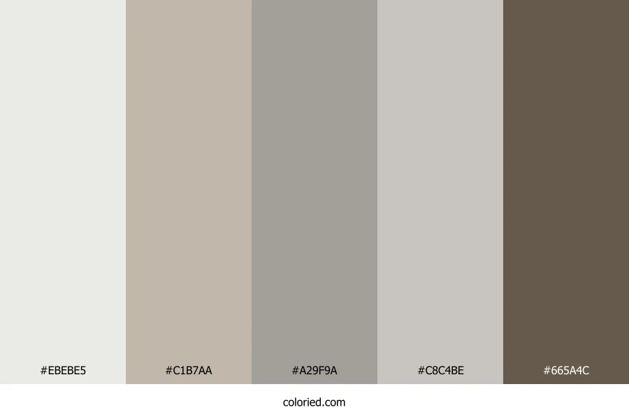 Warm Taupe and Coffee Color Palette