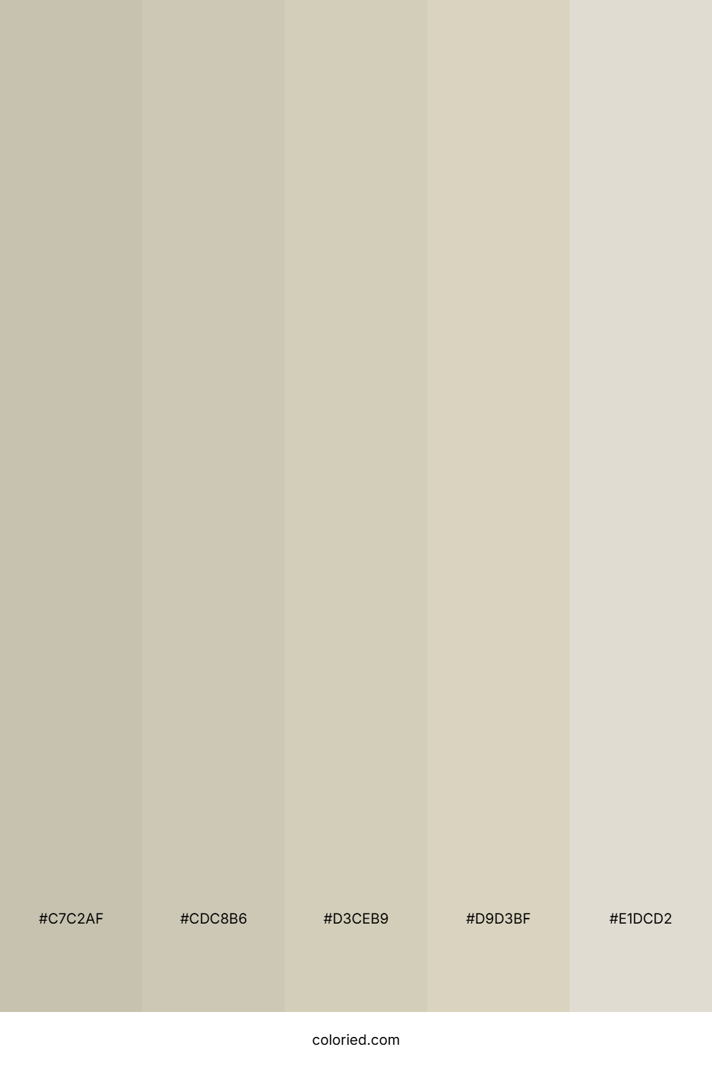 Warm Taupe and Ivory Color Palette