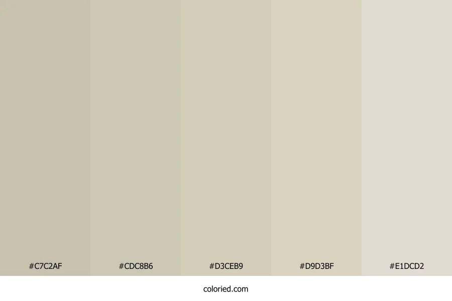 Warm Taupe and Ivory Color Palette
