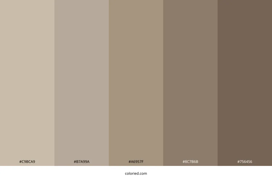 Warm Taupe Color Palette