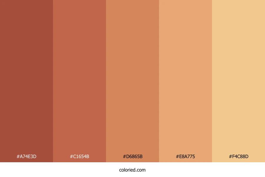 Warm Terracotta Color Palette