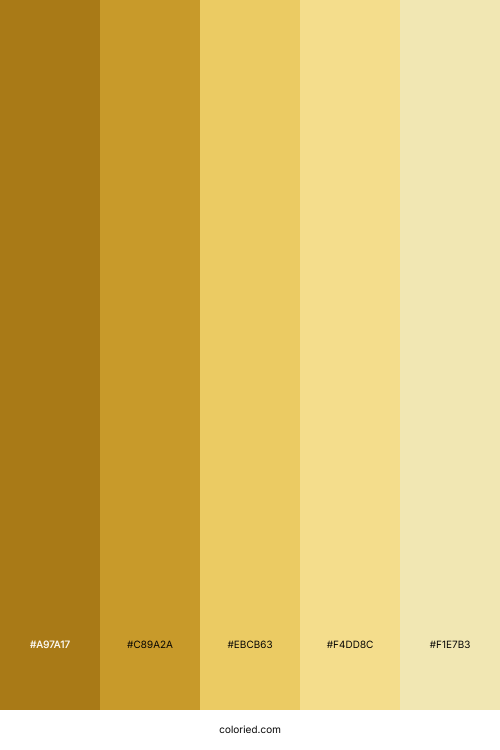 Warm Yellow Color Palette