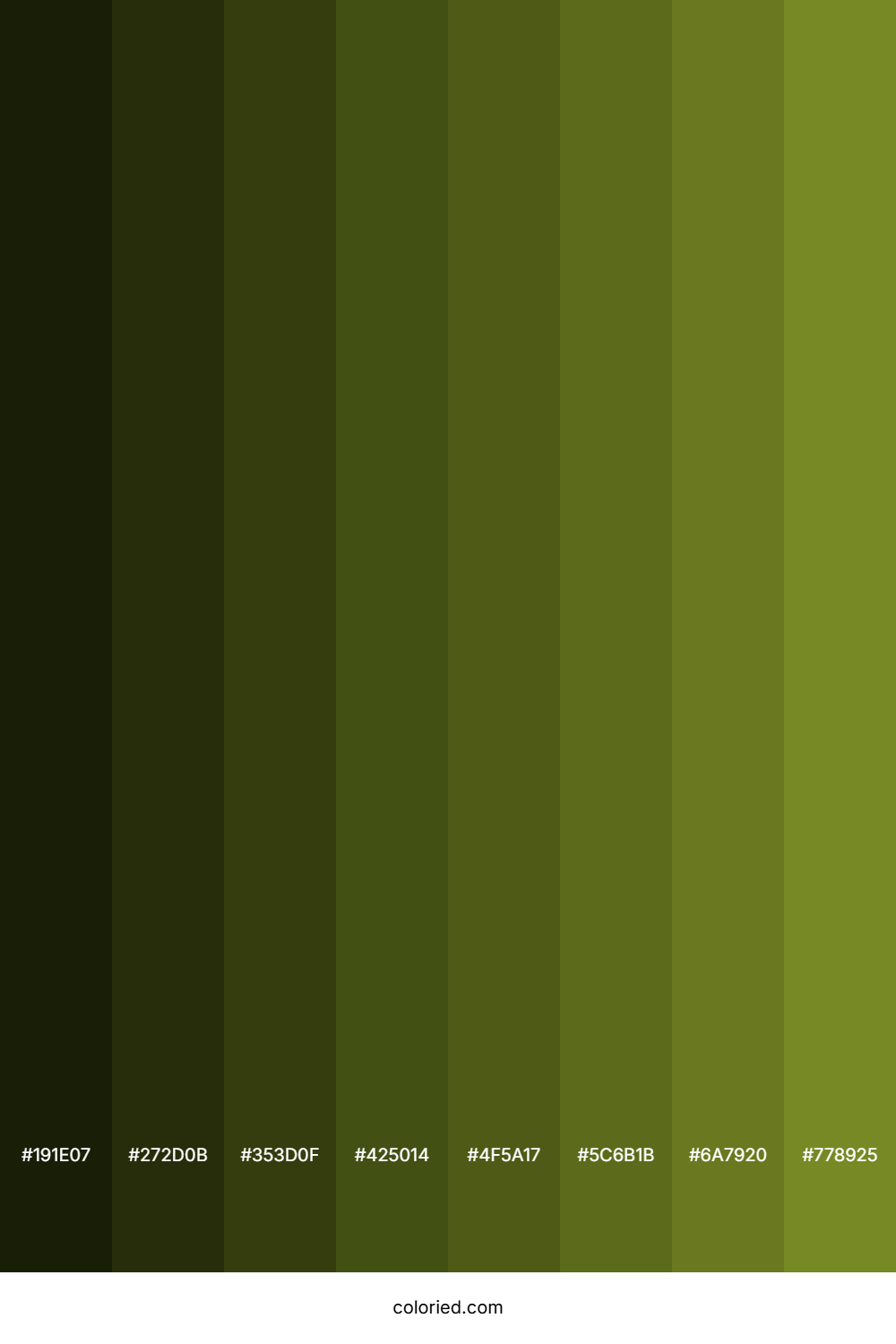 Wasabi Color Shades