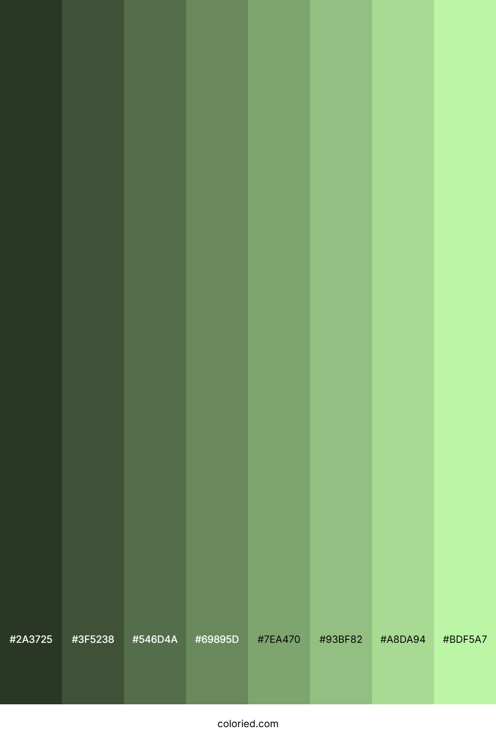 Washed Out Green Color Shades