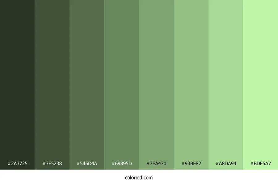Washed Out Green Color Shades