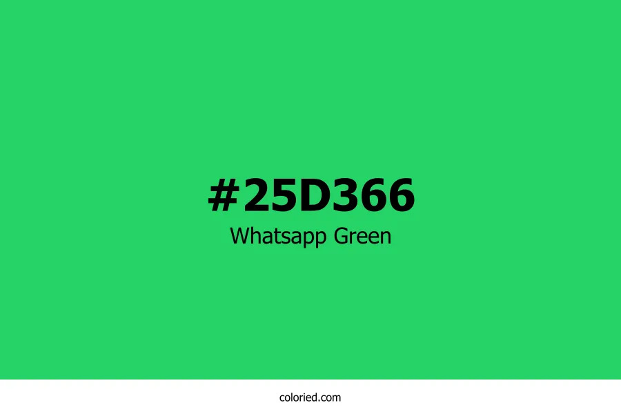 Whatsapp Green Color