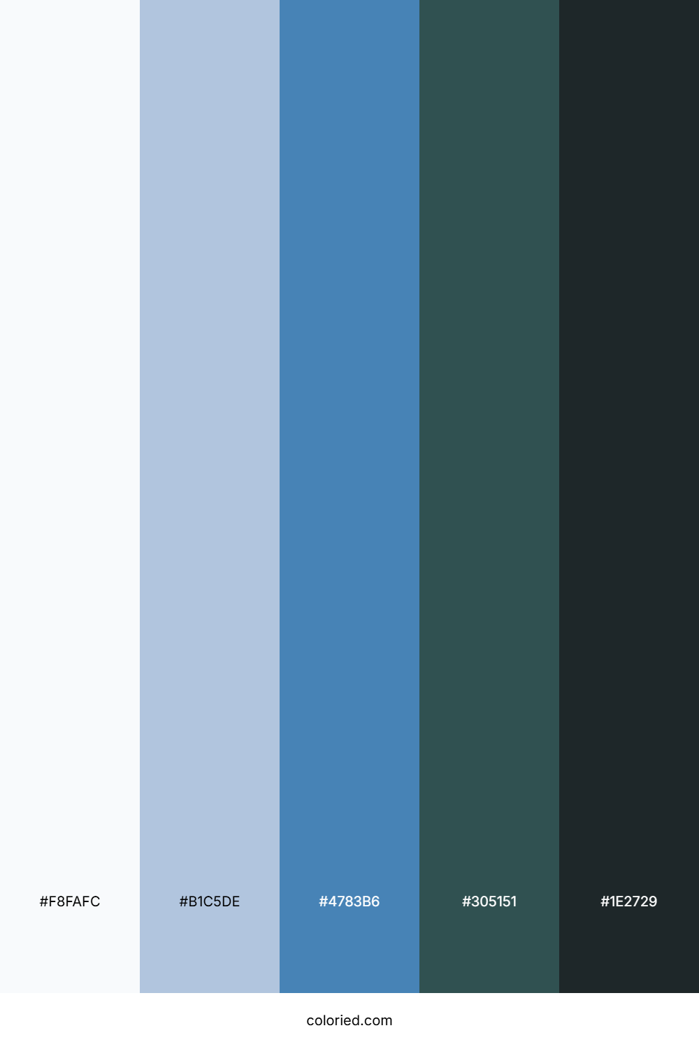 White, Blue, Black Gradient Color Palette